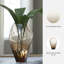Vase Ewart-145235074