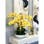 Orchids Arranged in Fiberstone Planter-272626192