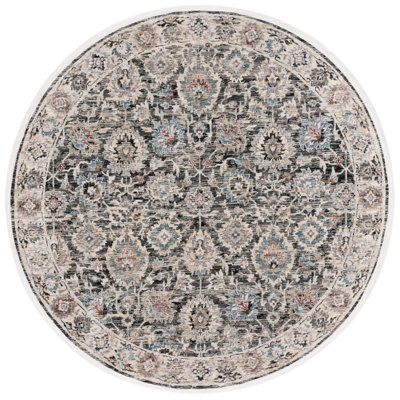 Ronard Performance Oriental Rug