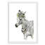 «Savannah Zebra», art encadré-47533411-47566040