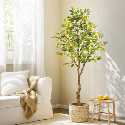 Citronnier artificiel d'intérieur de 6 pi avec des fruits réalistes et des feuilles réalistes, faux citronnier avec 50 lumières pour l'intérieur du salon