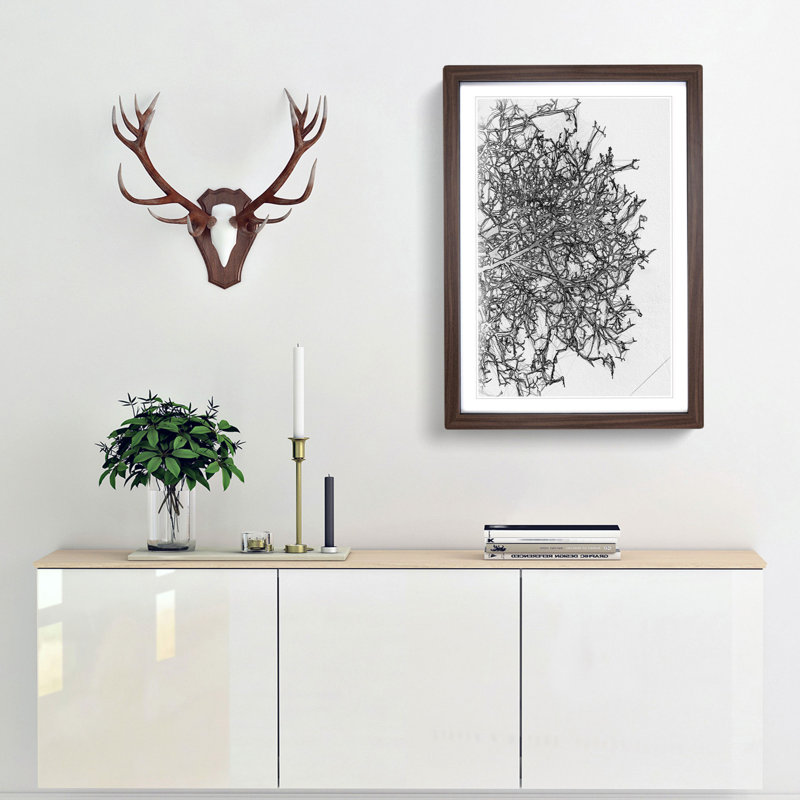 Bare Tree in Abstract - Picture Frame Graphic Art Print, 65cm H x 48cm W x 2cm D, Walnut Framed