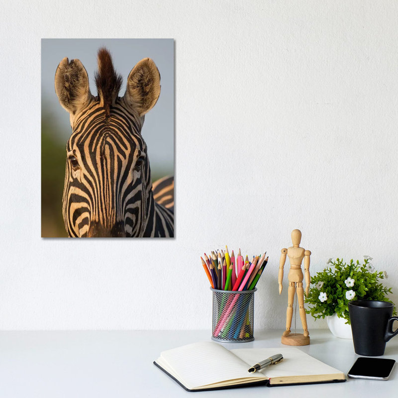 Zebra Facial Pattern South Africa by Mogens Trolle - Wrapped Canvas Print, 20.32 cm H x 30.48 cm W