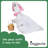 Easter Bunny Baby Goose Outfit