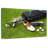 Golf Gear Set-1922482168