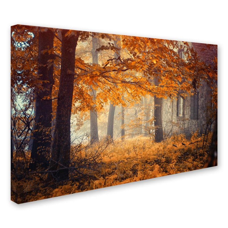 « hideaway », reproduction de photo sur toile tendue, H 12 po x l 19 po