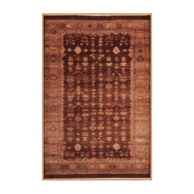 Machine Washable Overdyed Brown Area Rug