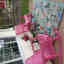 Customer photo 2 of 3