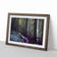 Path Through a Forest in Vancouver - Picture Frame Painting Print-55578158-55578163