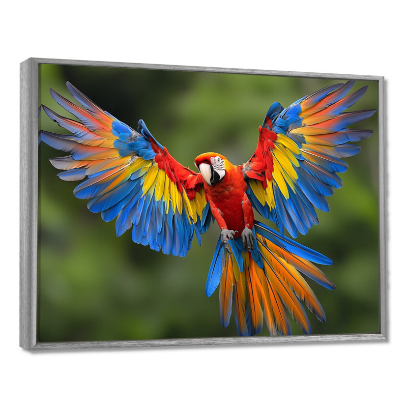 «Vibrant Macaw Flying Photo», art mural oiseau, H 24 po x l 32 po, Cadre flottant, Argent argent