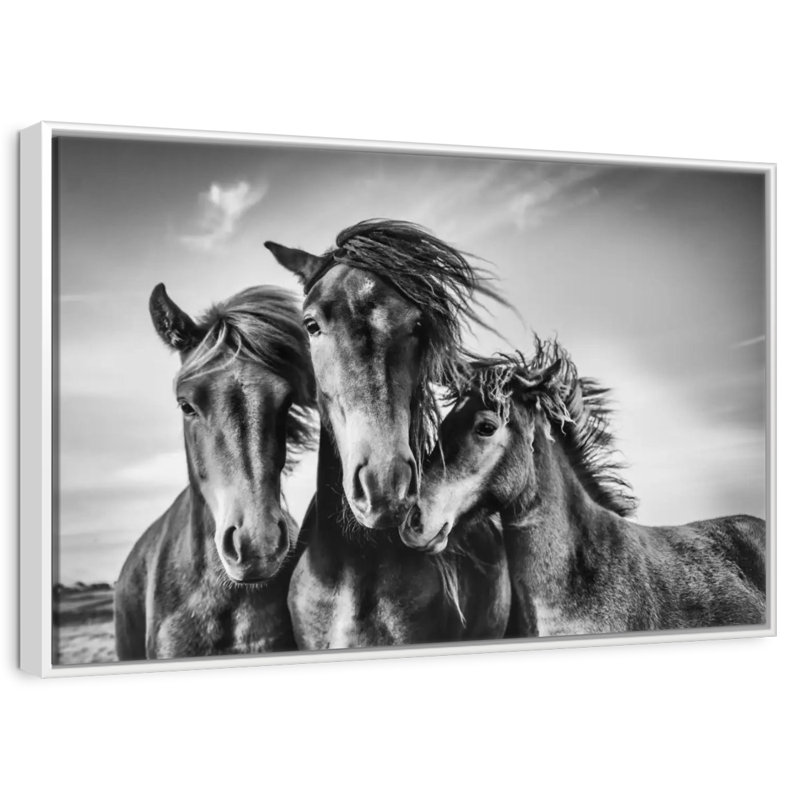 Chevaux Lemvig, Cadre flottant blanc, 31 po x 21 po
