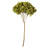 Natural Botanicals 15" Hydrangea with Multiple Branch Segments, Preserved-1594274023