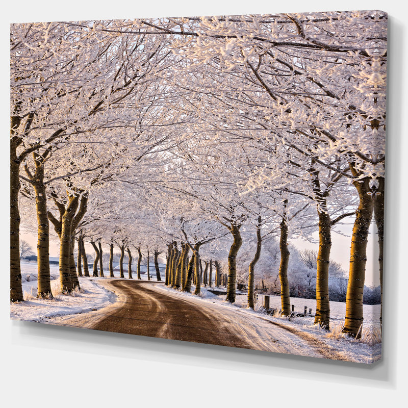 «Trees and Road in White Winter», reproduction de photo sur toile tendue, H 28 x l 60 po x P 1 po