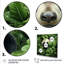 «Foliage Peekaboo Panda III», art mural animal panda-2141809135-2141809143