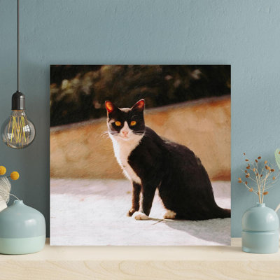 " Tuxedo Cat On White Floor " Graphic Art Painting