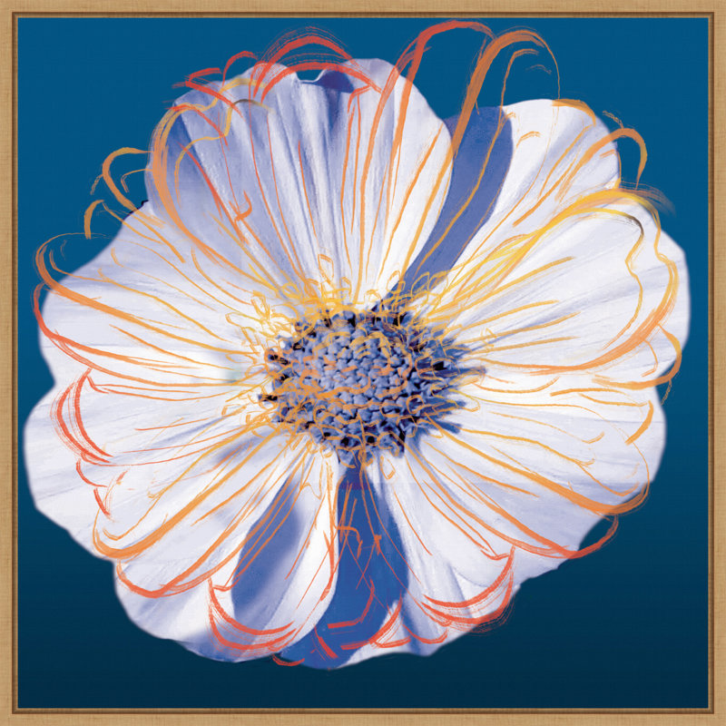 «Flower Pop Pastel II» par Marie Elaine Cusson, reproduction d'art sur toile encadrée, H 30 po x l 30 po