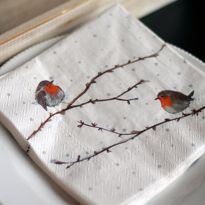 Serviettes de table jetables en papier de base