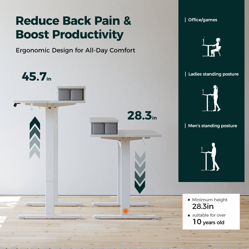 55" Electric Height Adjustable Standing Desk With Drawers,Home Office Desk with Large Monitor Shelf, White