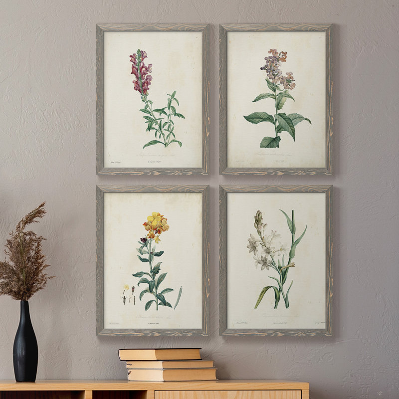 Traditional Botanical I - Ensemble de 4 reproductions de cadres photo sur toile, H 20 po x l 68 po x P 1,5 po, gris