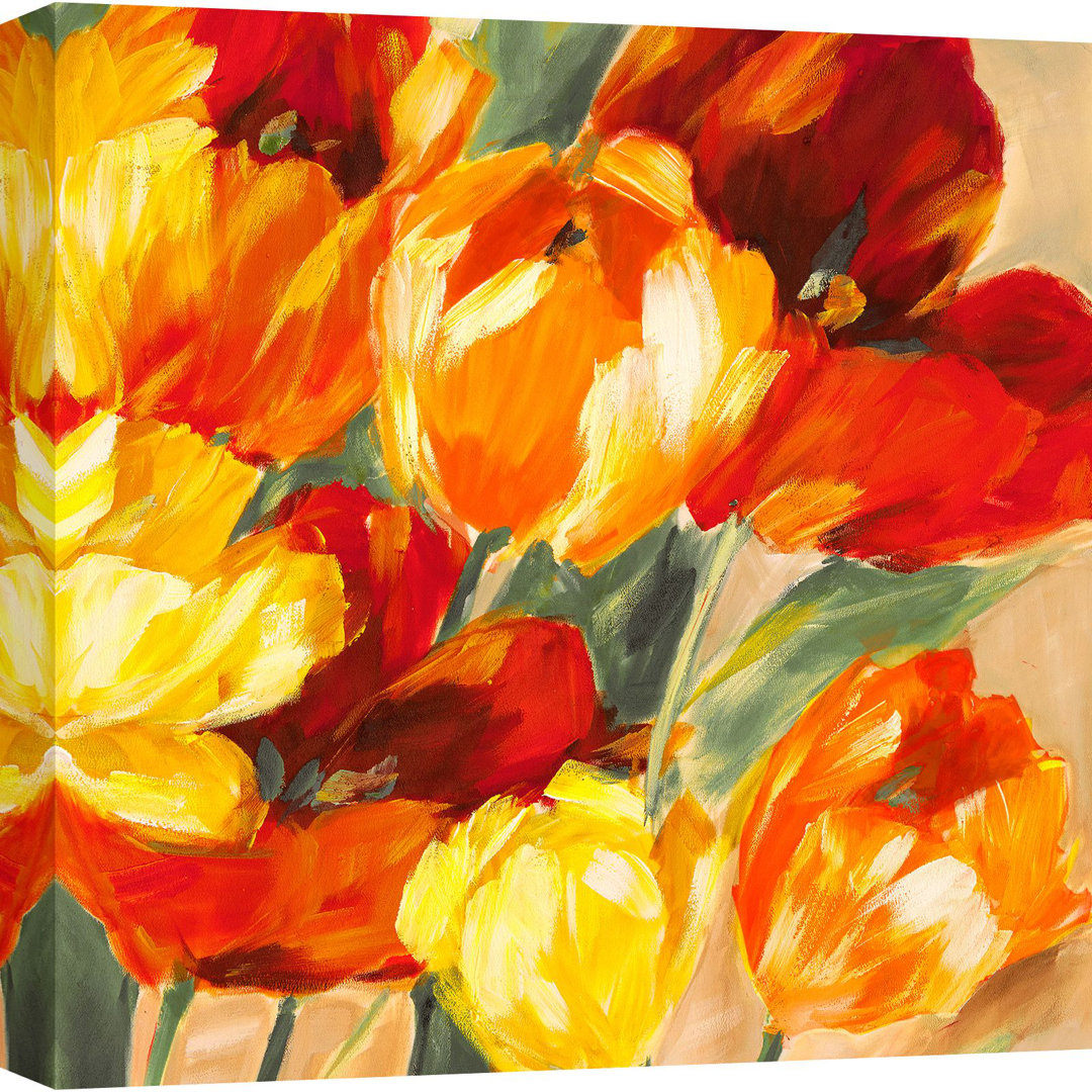 Leinwandbild Tulips In The Sun II von Jim Stone