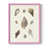 Pink is unavailable