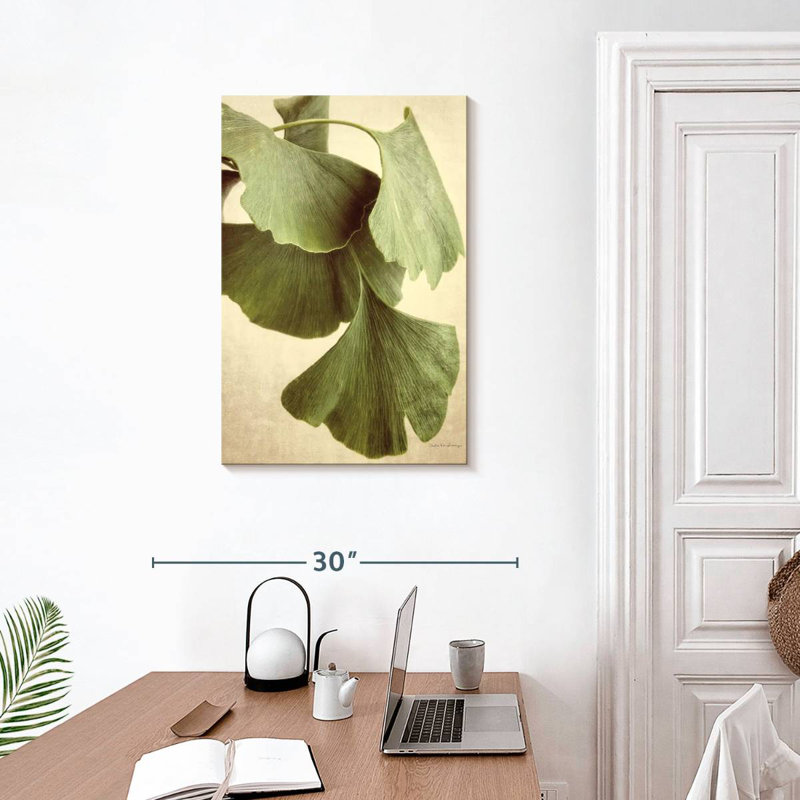 Couleur Harnek Ginkgo, H 30 po x l 20 po