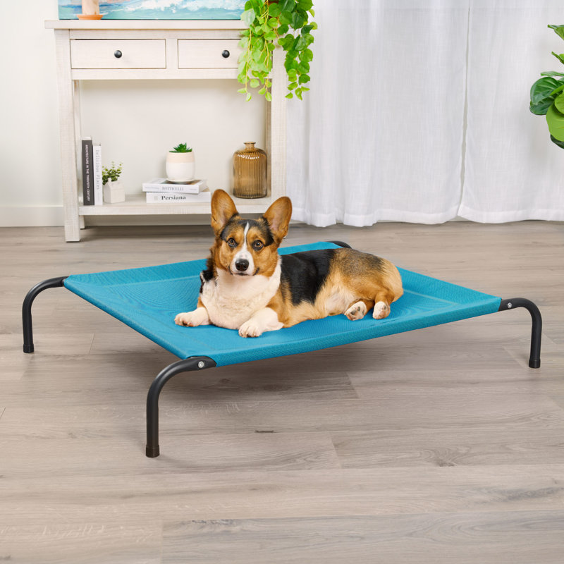 Elevated Cot Pet Bed, 8" H x 32.5" W x 44" D, Blue