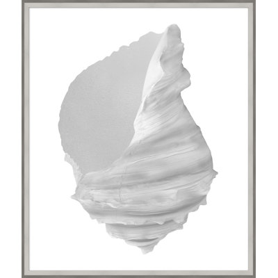 «Silver Leafed Shell», reproduction d'impression encadrée sur verre 2 po