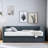 Deymar Upholstered Daybed with Two Drawers-60464587