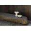 Esme Bowl-1434845282