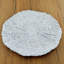 Assiette plate 11 po Coral-37468280