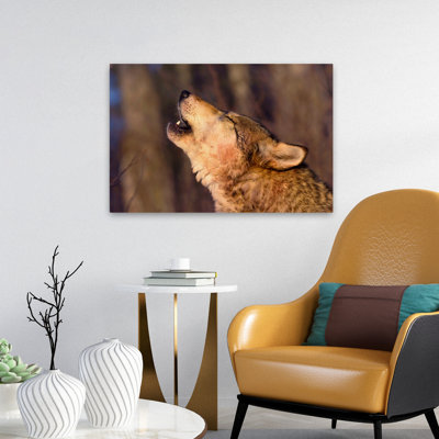 Lonesome Howl - Photography Animals Wolves Art