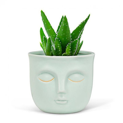 Pot à fleurs menthe verte