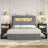 Ensemble de chambre à coucher lumineuse 3 pièces - Lit de rangement à DEL et commodes à DEL avec station de charge