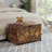 Rustic Brown Entryway Storage Bench with Spacious Interior and U-Shaped Pull, Versatile Toy Box Organizer and Seating Solution for Multiple Rooms, Easy Assembly and Durable Construction-970128706-970941854