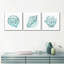 Coquillages et corail, reproduction sur toile-1787314089