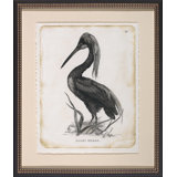 Agami Heron Painting