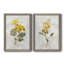 Canari lin géranium - ensemble de 2 reproductions d'art-755692023-755692019-755691905