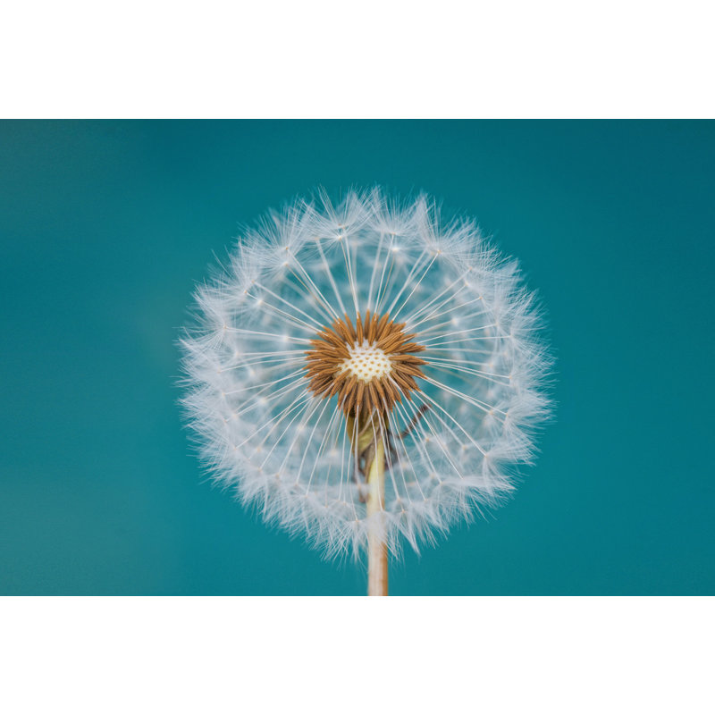 Wrapped Canvas Print, 50.8 cm H x 76.2 cm W