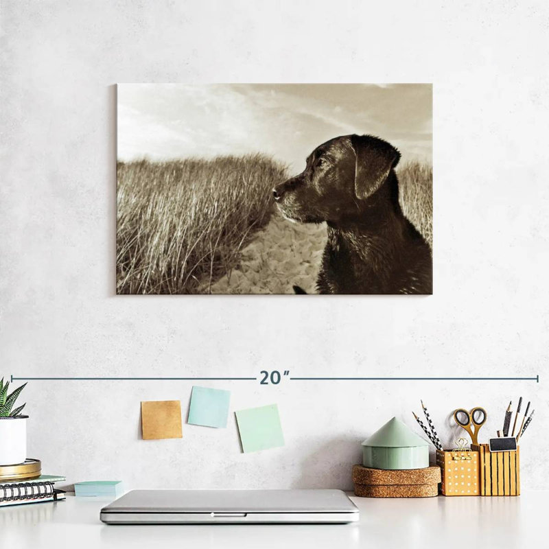 Black Lab At The Beach, 8" H x 12" W