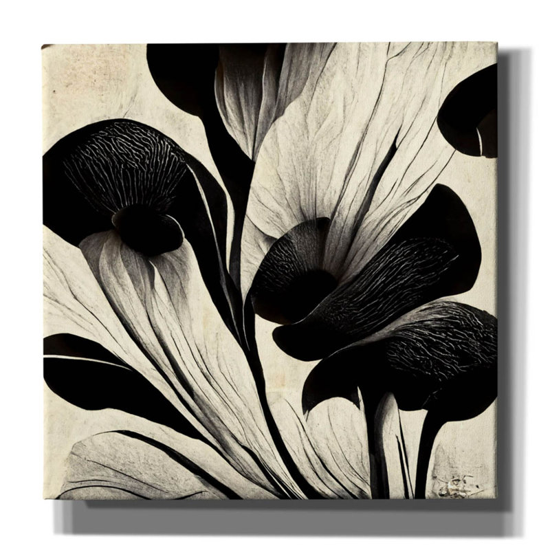 "Winston Porter" Flowers Black White 27 "par Ray Heere, art mural sur toile, H 37 po x l 37 po x P 1,5 po