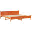 Storage Bed-2061724226-2061724231