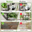 Plant Stand