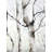 " Three Birches Trees "