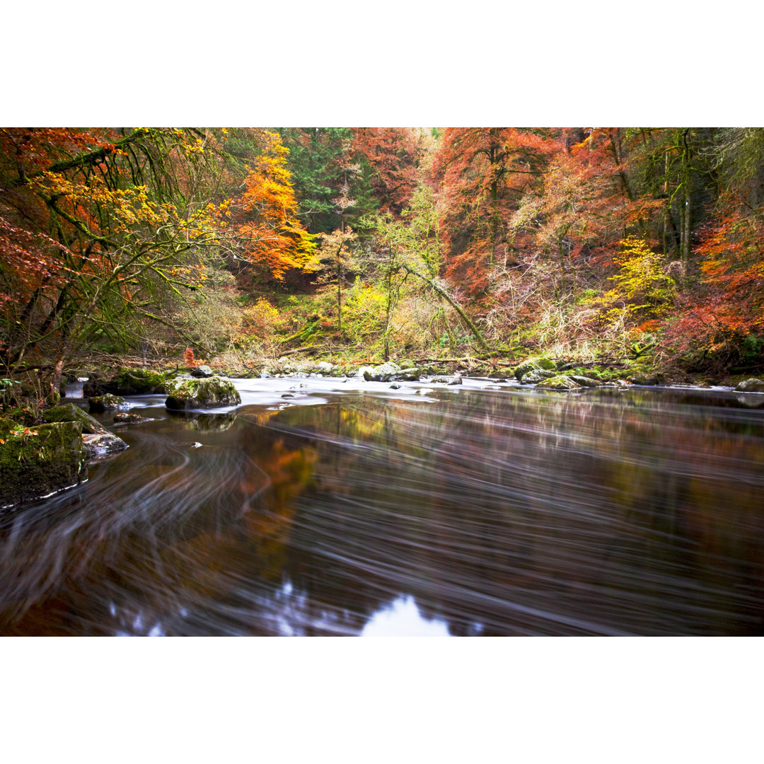 Herbst am Fluss Braan, Dunkeld. von Empato - Drucken