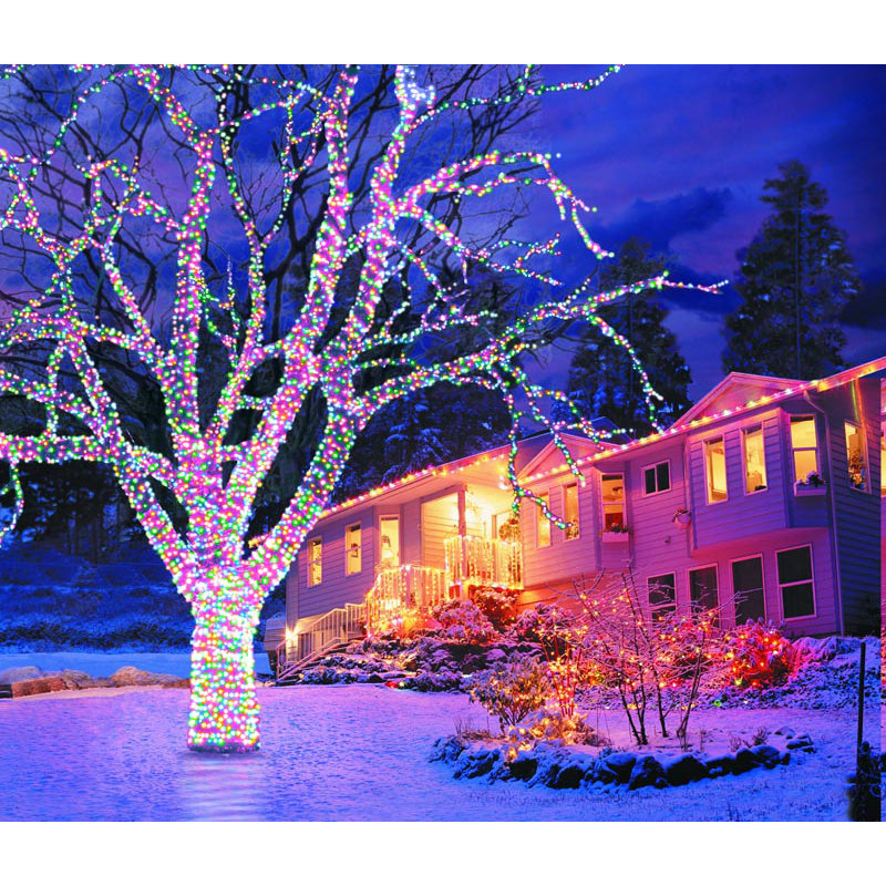 1000cm Indoor / Outdoor String Lights, Multicoloured