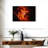 Oberle Wolf Rayet Star-111834689