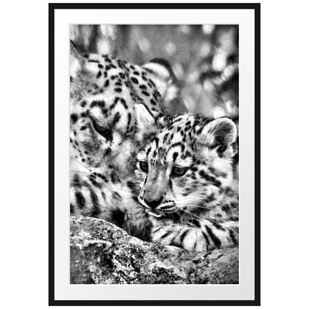 Gerahmtes Poster Leopard mit Jungtier