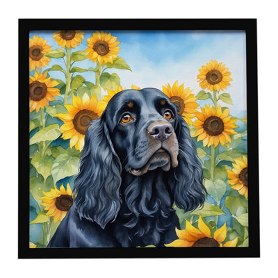 Cocker Spaniel in Sunflowers Framed Metal Print