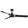 Makoti 52'' Ceiling Fan with LED Lights